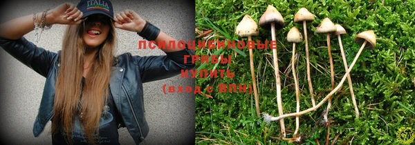 PSILOCYBIN Алексин