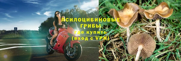 PSILOCYBIN Алексин