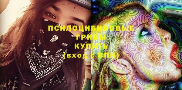 PSILOCYBIN Алексин