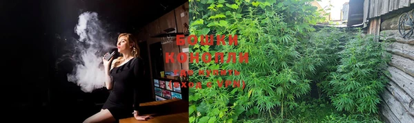 PSILOCYBIN Алексин